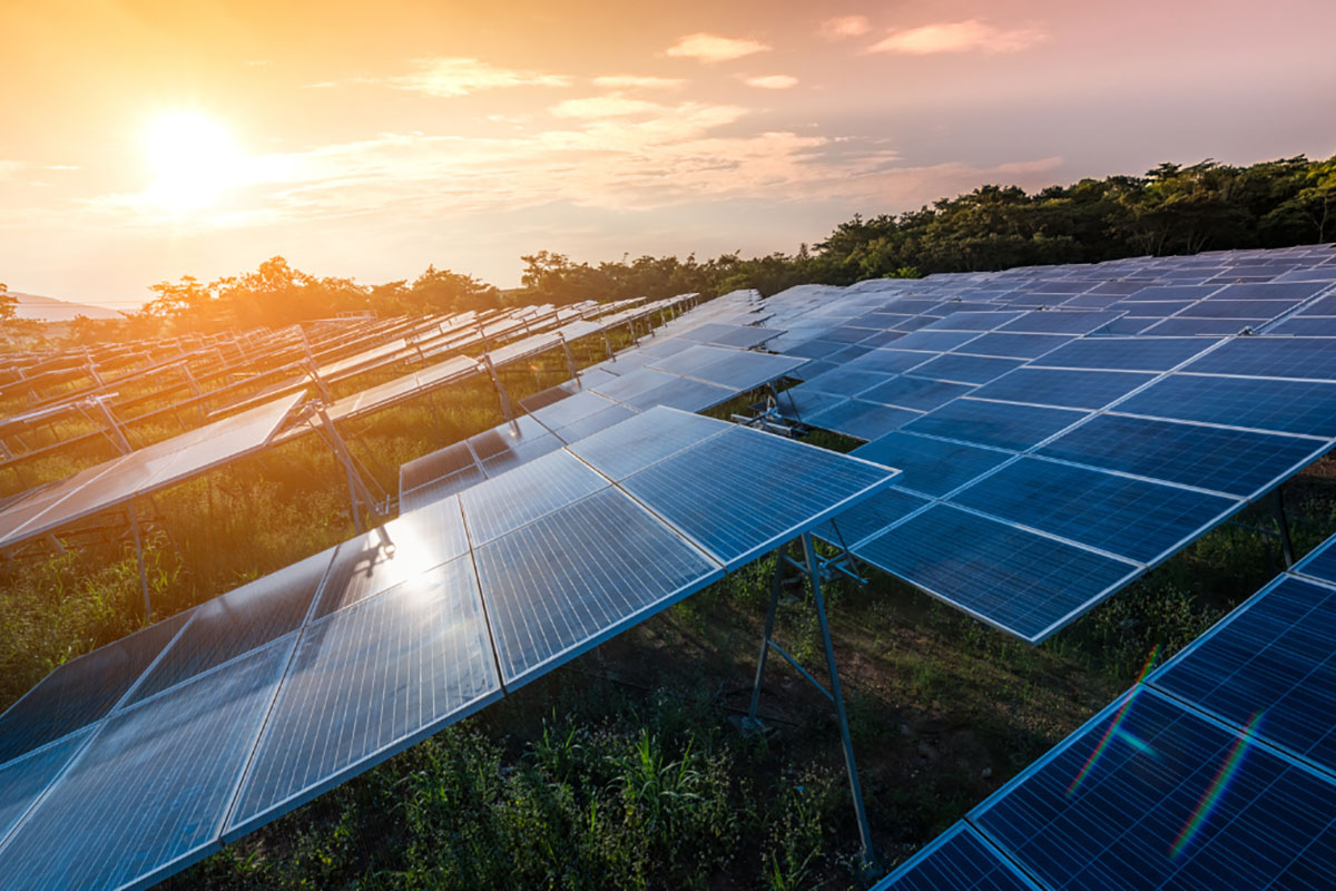 Renewable Energy Consulting